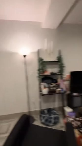 Hi! My friend Alexis and I are looking to rent out this incredible apartment on Starr Street (right