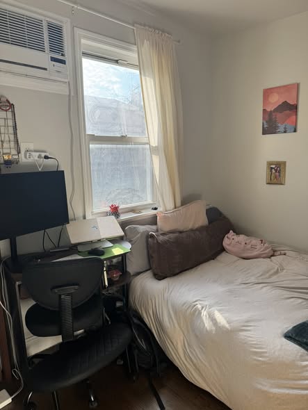 Sunny room in Williamsburg to lease takeover feb 22nd/ march 1st* 3 bedrooms/ 1.5 bathrooms* In-unit