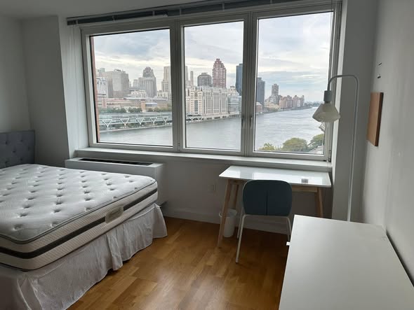 🌼Room Available – Roosevelt Island Luxury Building🌼Hi! Our beloved roommate is relocating for work