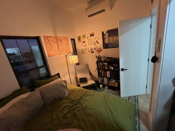 Williamsburg sublet available ~4/25 - 9/1- I’m going to be out of the country for work so I’m lookin