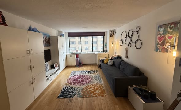 Luxury Apartment in Greenwich Village near NYU!I'm offering my luxury 1-bedroom, 1-bath apartment fo