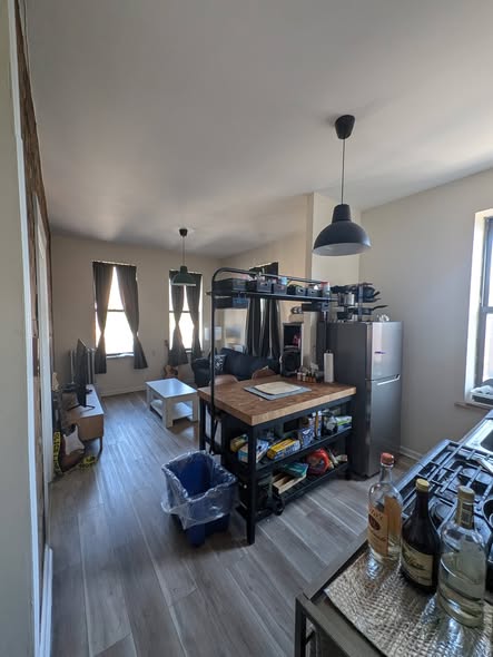 1 Room in 2 Bedroom Apt - Williamsburg/BushwickHey y'all, I got a room (larger by NYC standards) in 
