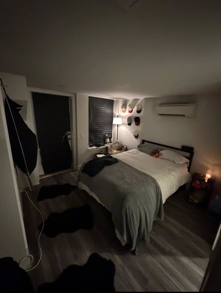 Master Bedroom in LES 3 bed/2 bathfor the month of May - $2500•You have your own private bathroom as