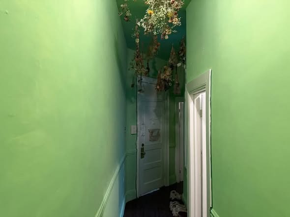 Room in Crown Heights 1000/mo Oct 1ISO a roommate for a 1 year lease October 1 or earlier off the Ut