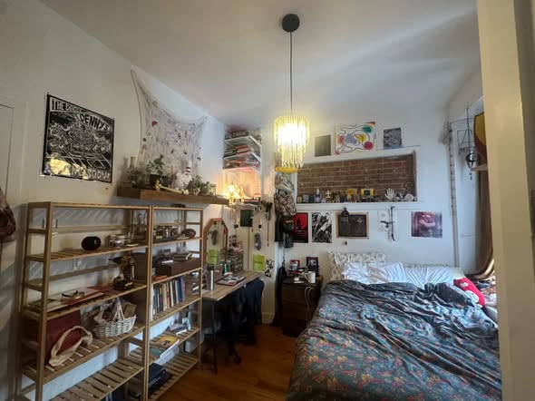 BUSHWICK SUBLET AVAILABLEJune 15th-July 15th $1,150 for the full stay2 minute walk from Wilson L9 mi