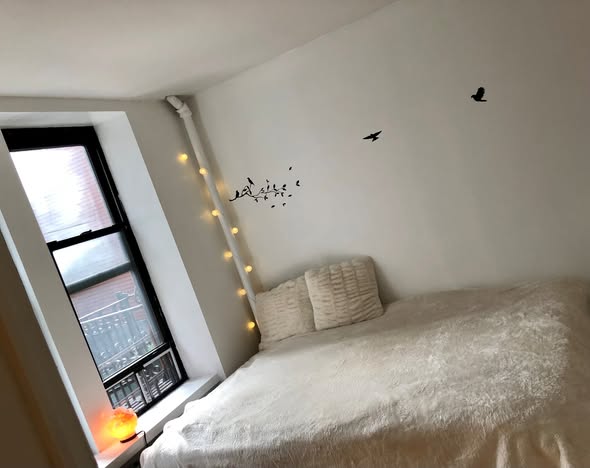 Upper East Side Winter Sublet