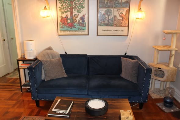 Spacious 1-Bedroom for January Sublet - Right Next To Prospect Park Looking for someone to take over